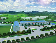 <b>生物機器人可能具有人體細胞</b>